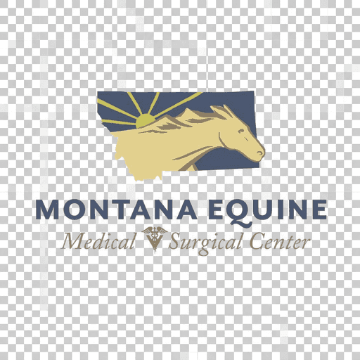 Montana Equine