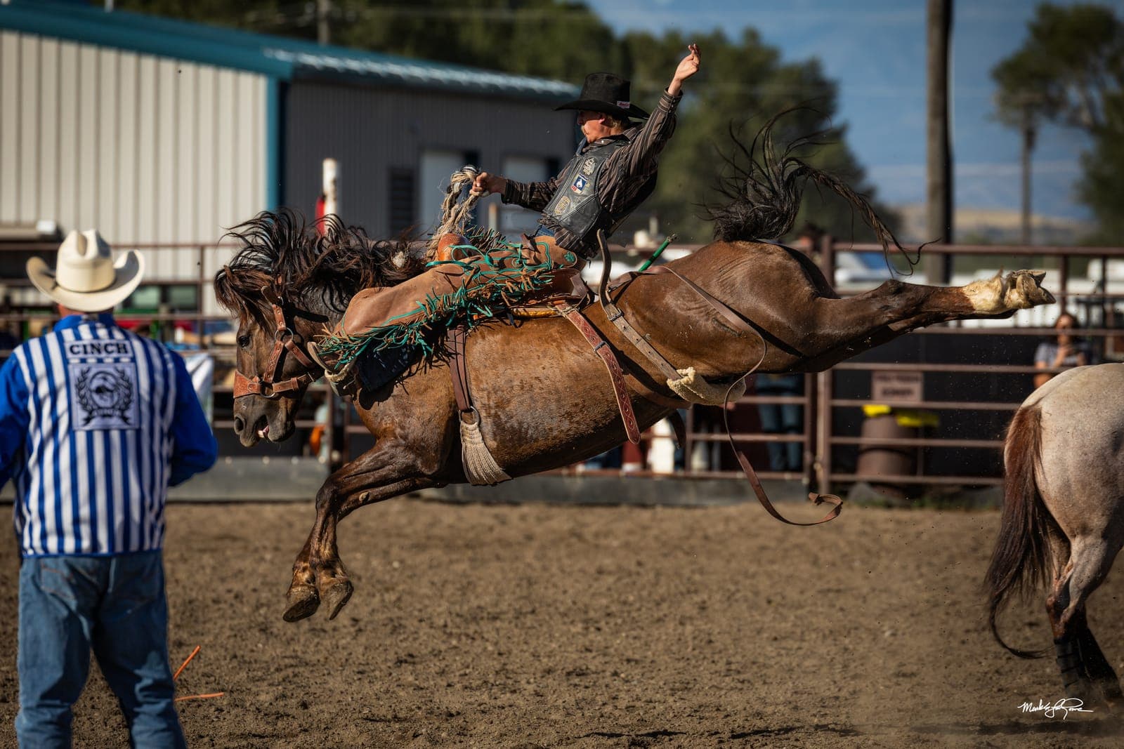 Rodeo action