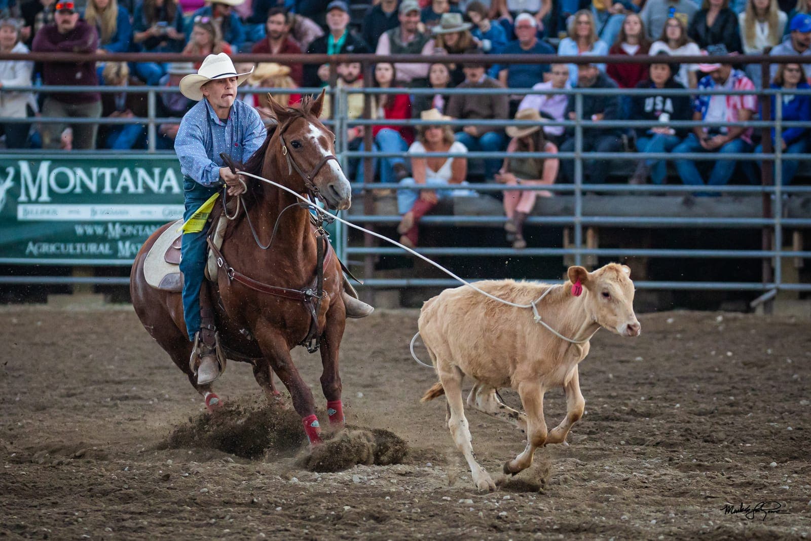 Rodeo action