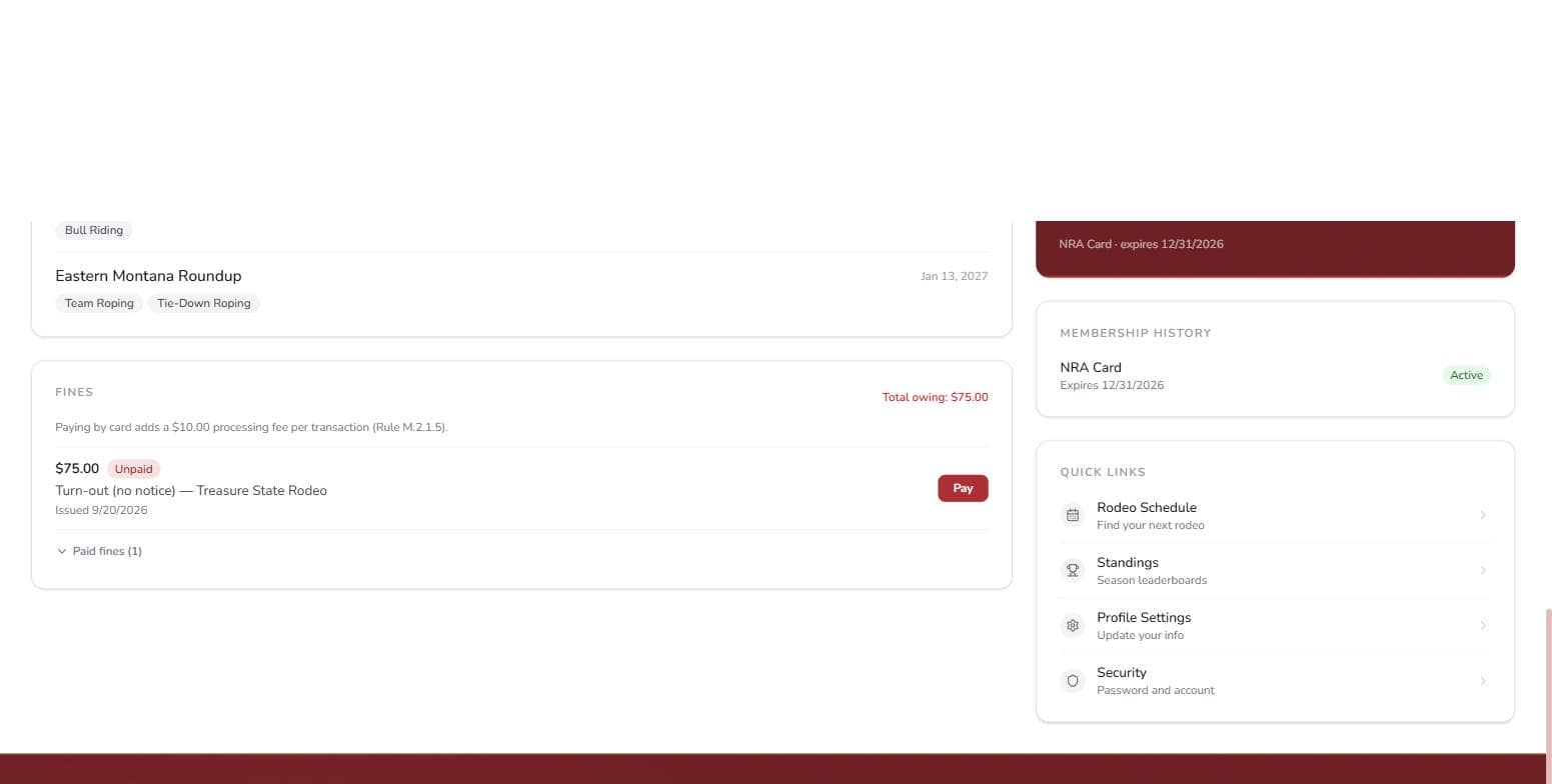 The Fines card: what's owing, the card-fee note, and the Pay button
